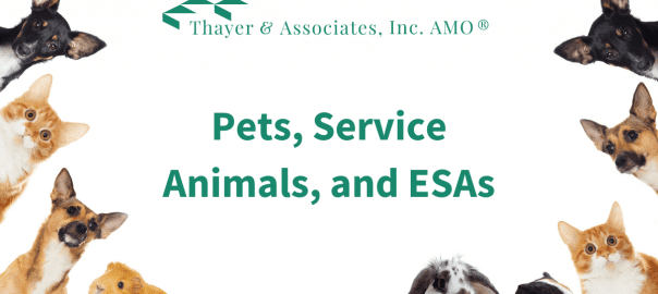 Pets, Service Animals, and ESAs: What to Know as a Landlord